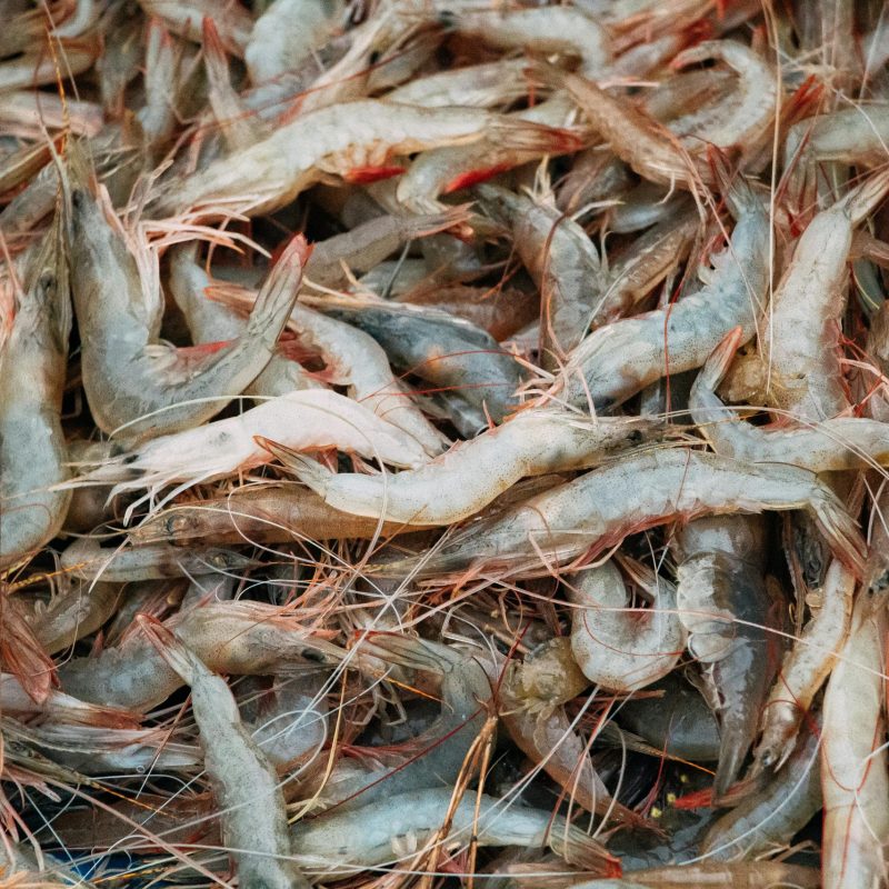 pexels-ponsakthianand-5273798