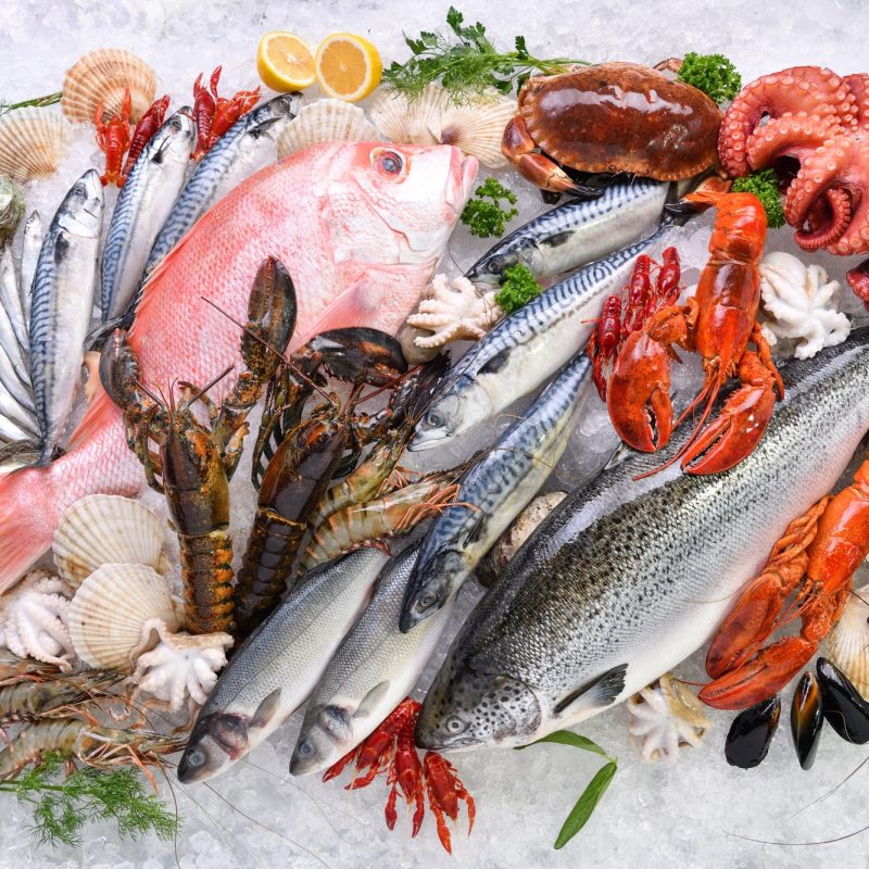 Seafood Fish